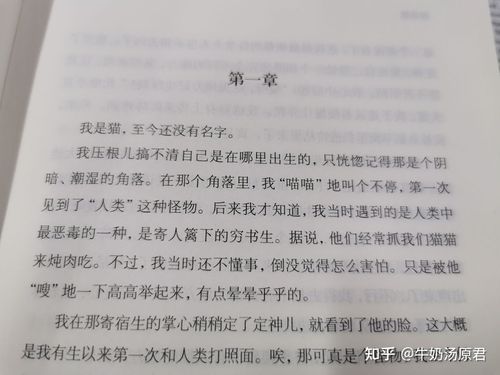 我是猫 - 知乎