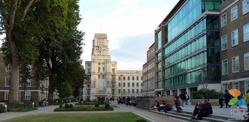 伦敦大学伯贝克学院