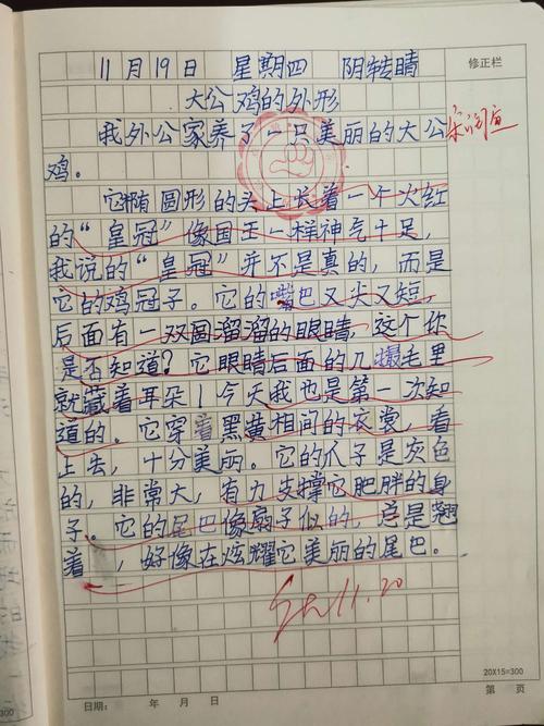 11月20日优秀日记,片段练习《大公鸡的外形》27份