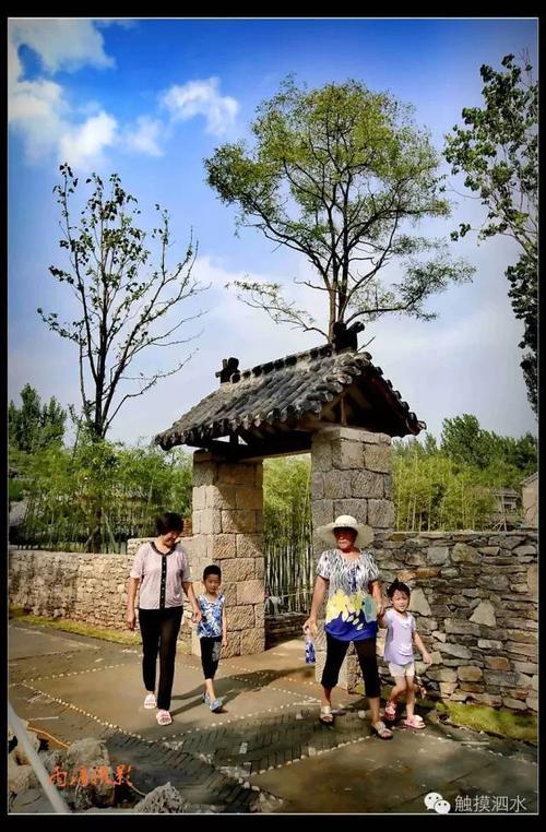 【"莓"丽泗水,"莓"好相约】泗水南仲都草莓旅游狂欢节12月30号开幕