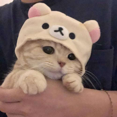 今天不熬夜2021-07-12 20:41:05