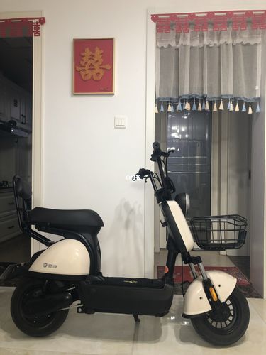 喜提雅迪emi电动车01_雅迪怎么样_电动车_emi怎么样