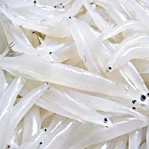 海鲜冻品 独立包装 肉质细腻 250g 银鱼 卖鱼郎 淡水