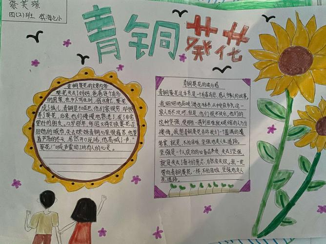 《青铜葵花》手抄报展示