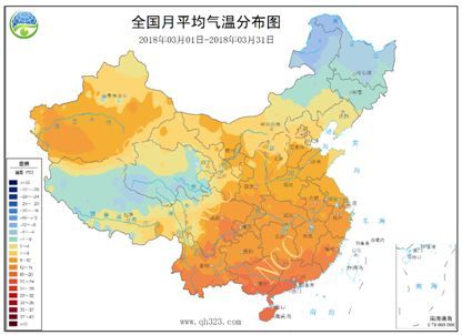 "不平凡"的鸡蛋1805回忆录