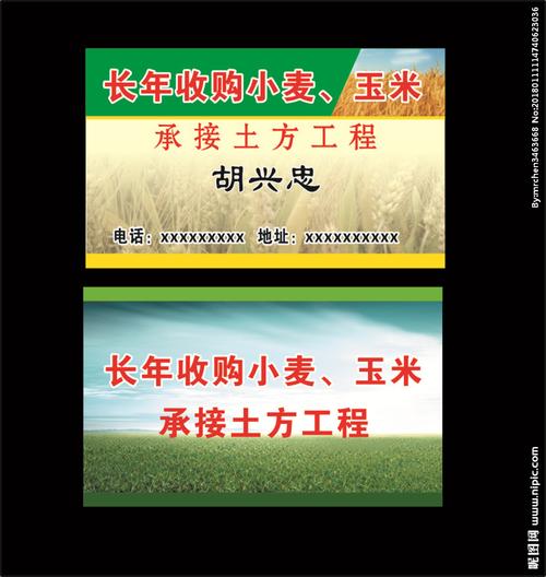 收玉米名片图片