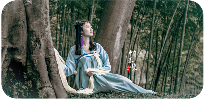 竹未晚 东篱小筑 古风摄影