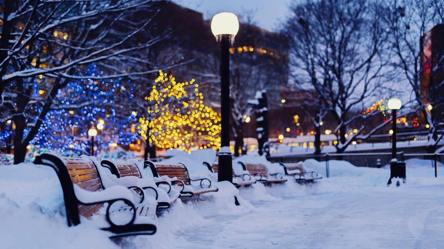 城市,夜晚,冬天,雪,长凳,花园,路灯 iphone 壁纸