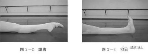 勾绷脚 仰泳手部动作