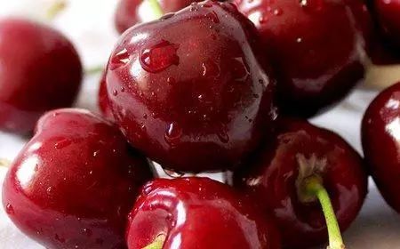 水果地理中国|福山大樱桃