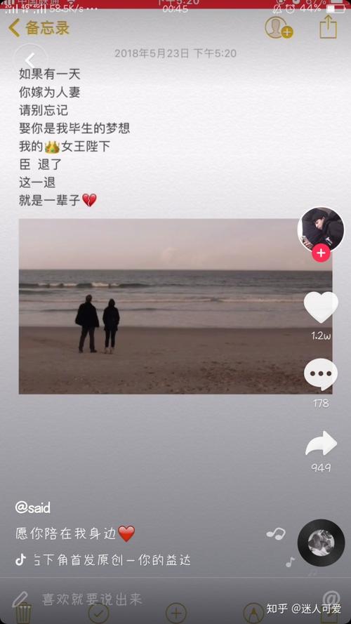 女王大人臣退了 什么梗?