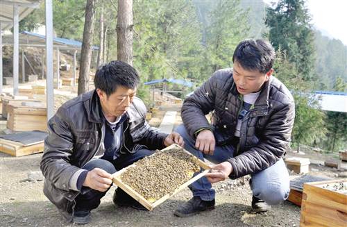 石柱举全县之力决战决胜脱贫攻坚