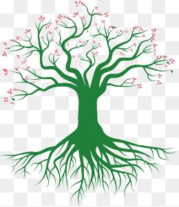 大树树根的简笔画