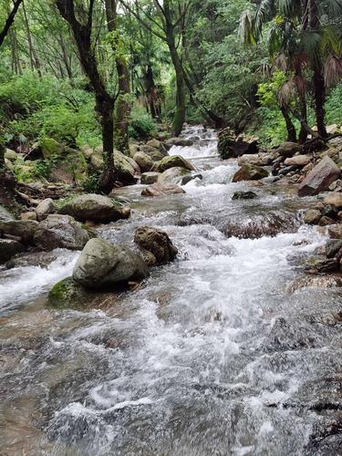 溪流清澈见底.人在谷中行,水在脚下流.