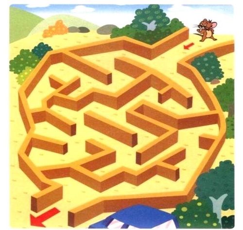 郭庄中心幼儿园中班级部居家生活指导——《有趣的迷宫》