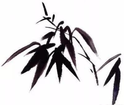 【国画教程】竹叶的详细画法及技巧_竹子