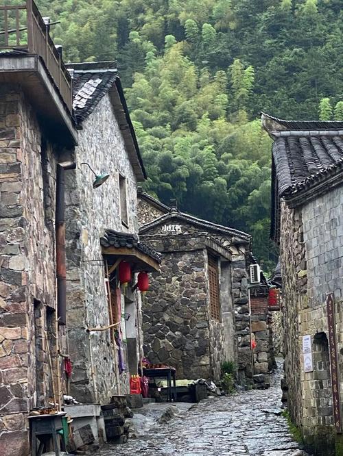 走进中国传统村落之:浙江的天然氧吧岩下村_氧吧_中国