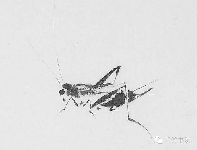 金华十月 · 方严中国画提高班都讲了什么