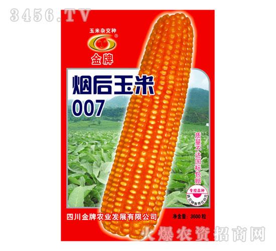 烟后玉米007玉米种子金牌