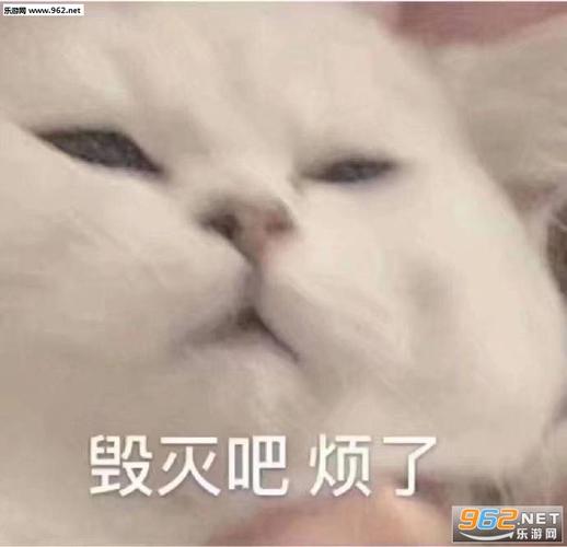 毁灭吧烦了表情包
