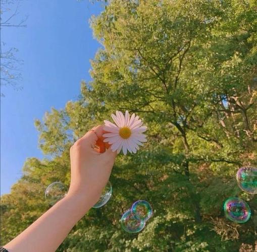 文案抖音正能量2020抖音最火的文案