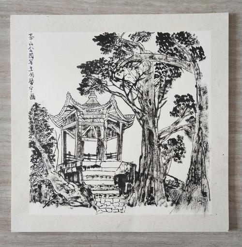 绘丰艺术国画班写生课堂(三)茶山公园