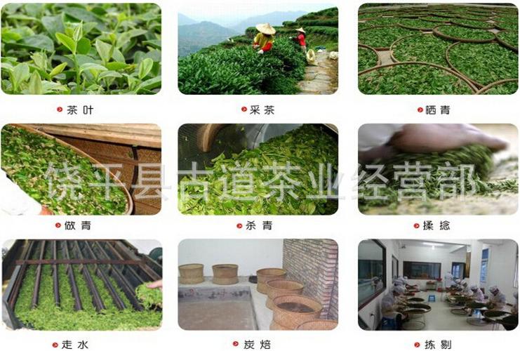 凤凰单枞茶的制作 流程图