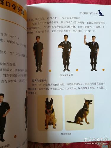 警犬训练口令手势手册