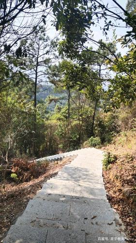 广州南樵山增城南香山森林公园亲子游