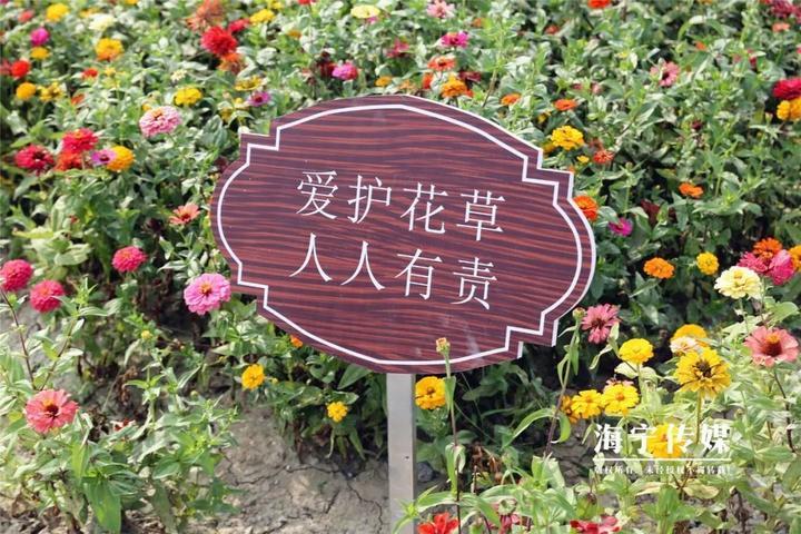 大潮君注意到,路边到处设置了路牌,提醒大家不要随意踩踏花草.