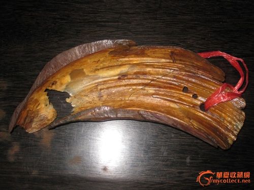 "射天*"一大块
