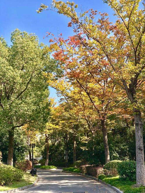 在二河认识的树木