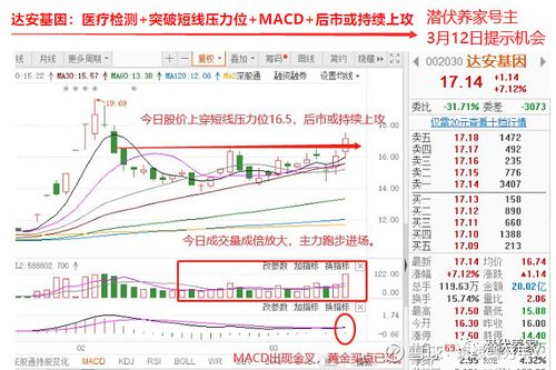 今天简单点,讲几个能低吸的个股