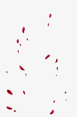 关键词 : 玫瑰,花瓣,古风,花瓣雨,设计素材