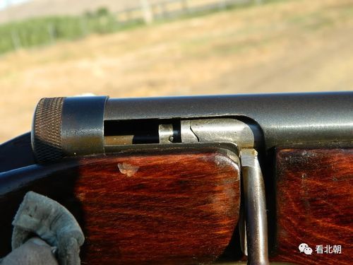当年中国最普及的民用步枪:苏联toz-8小口径运动步枪