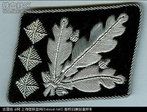 二战时期德军军衔:纳粹德国党卫军介绍[非宣扬纳粹]