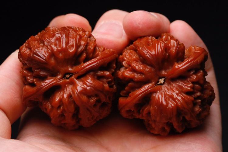 文玩核桃中应该了解的小众品种 门墩 将军膀 水龙纹