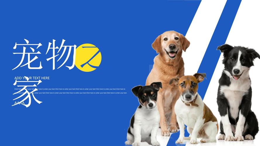 宠物狗狗主题ppt模板.pptx 17页
