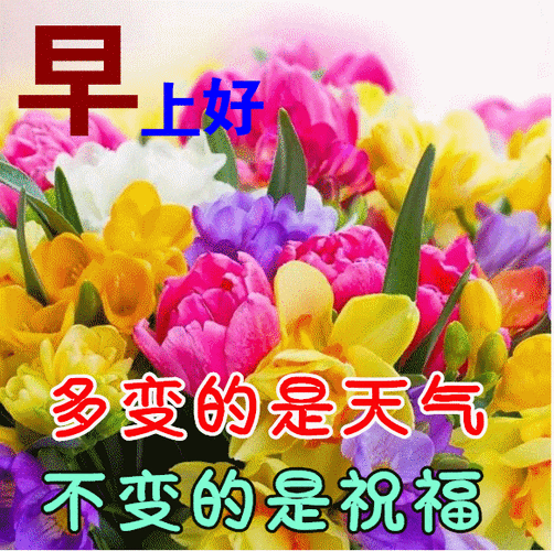 最新特漂亮早上好鲜花图片带祝福语2021最美冬日早安问候图片带字