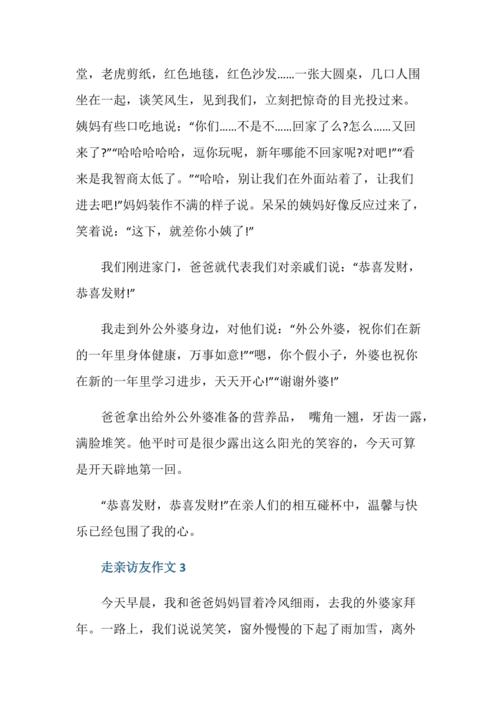 走亲访友初二作文600字