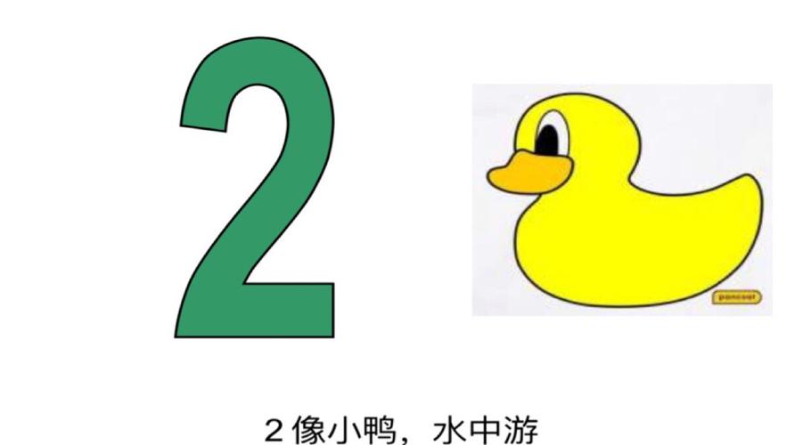 科学领域【数字宝宝1-5】