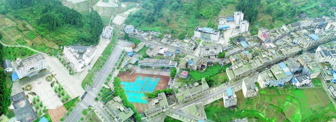 赤霞珠,波尔多瓦,巨玫瑰……隆兴镇8000亩精品葡萄快熟啦!约吗?