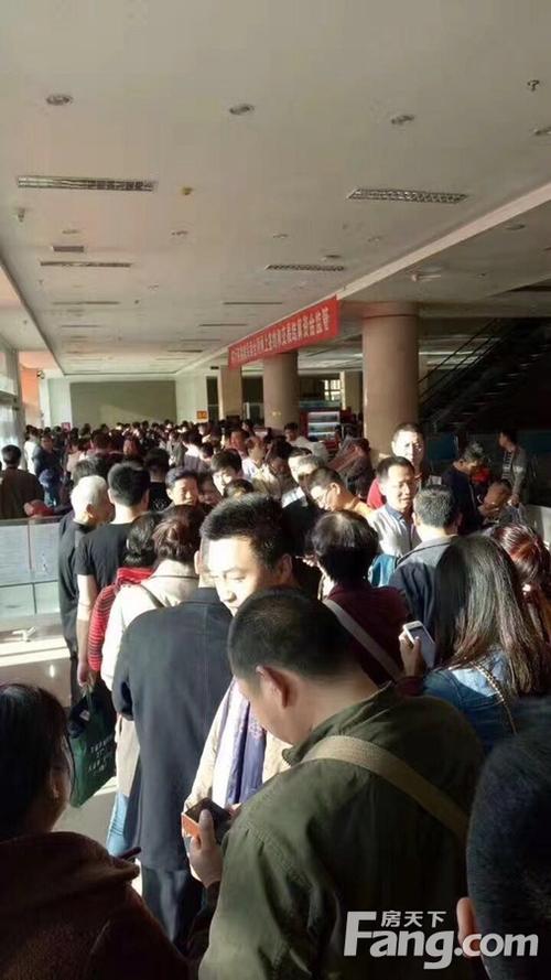 看着这一排排的长龙,小编真心的向房产中介和房管局的工作人员说一句