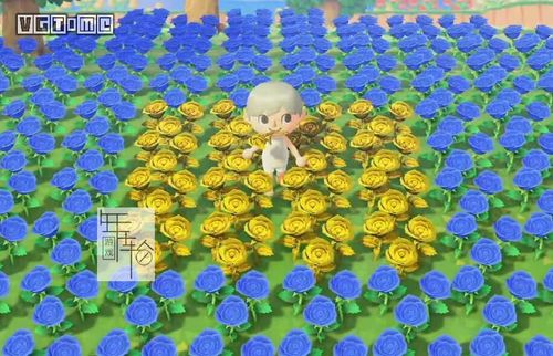 switch集合啦!动物森友会游戏攻略 花卉杂交表 花卉种植攻略