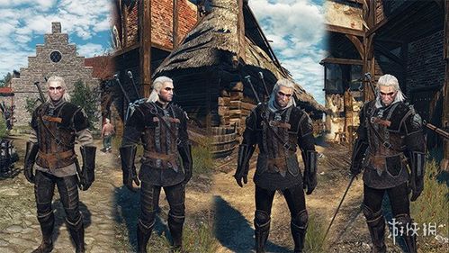 巫师3狂猎v131狮鹫学派套装布甲材质美化v11mod