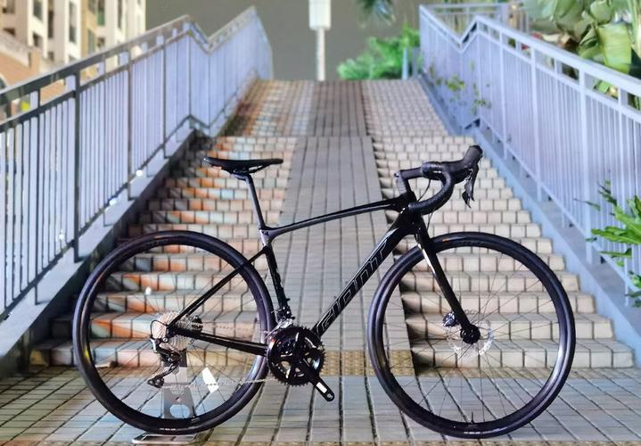 defy adv 1(2021款)-广东捷安特