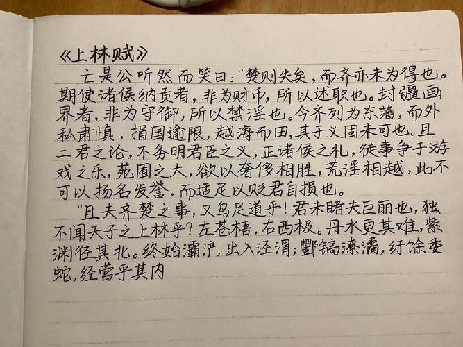开始抄上林赋能进来给点建议吗