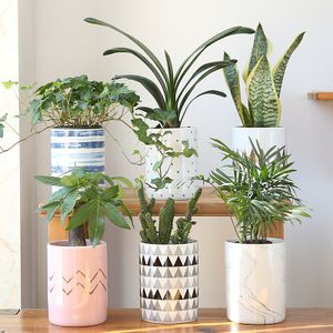 粉红菱形金花盆大理石纹陶瓷客厅桌面北欧格调黑白三角形陶瓷花盆