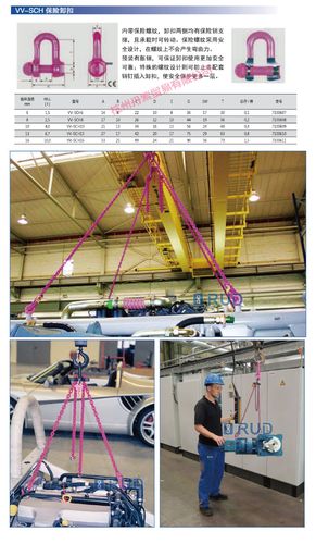 rud 德国路德 vv-sch保险卸扣 卸扣 d形卸扣 吊耳 吊环 吊具 索具