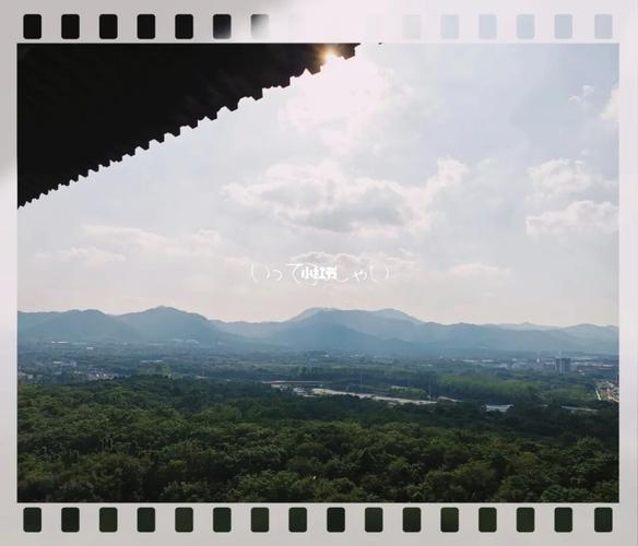 龙池山森林公园_景点_森林_出行_人文风光展示_旅行